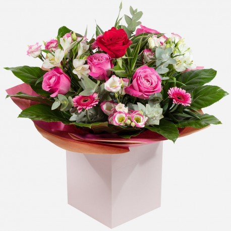Secret Admirer